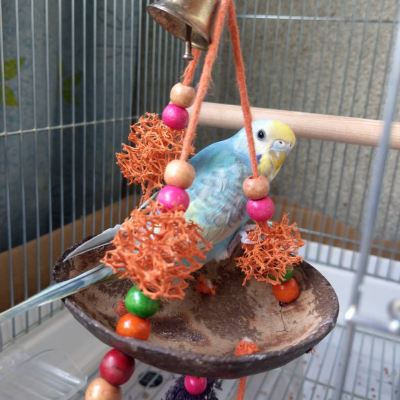 2019/06/25のジョン・スノウ