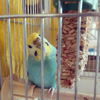 2020/06/04のジョン・スノウ