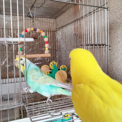 2022/04/09のジョン・スノウ