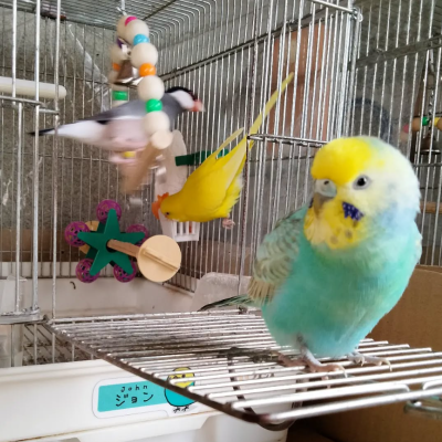 2022/12/17のジョン・スノウ