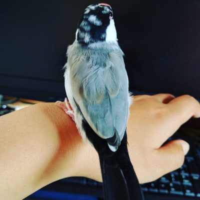 2016/05/28のおやぶん