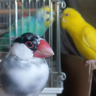 2021/08/30のおやぶん