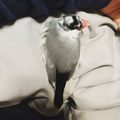 2021/01/04のおやぶん