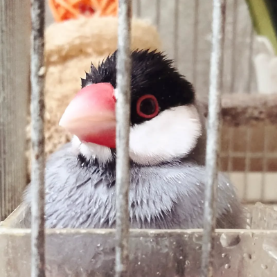 2023/03/12の鈴之助