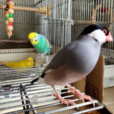 2023/06/19の鈴之助