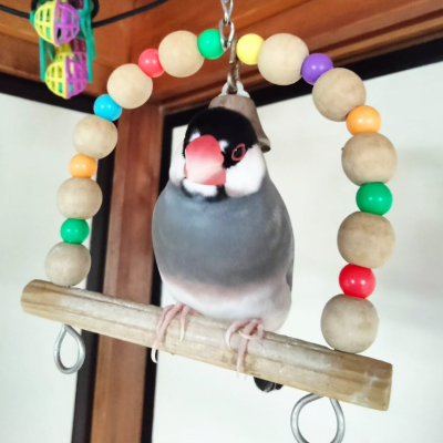 2024/08/21の鈴之助