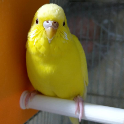 2018/12/22のタケコ