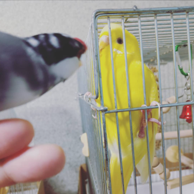 2018/09/16のタケコ