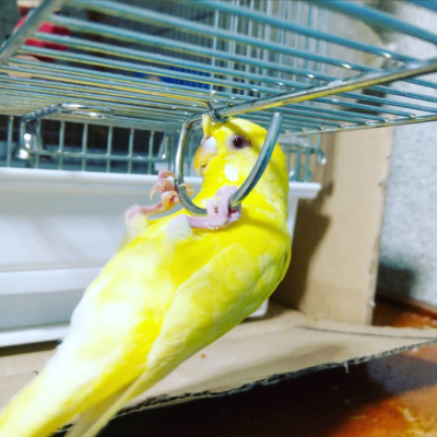 2018/05/22のタケコ