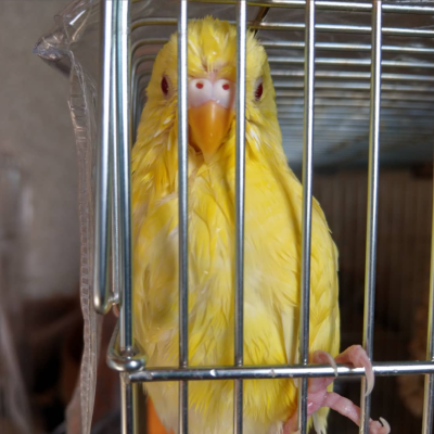 2018/04/12のタケコ