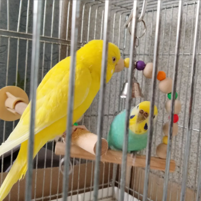 2022/05/23のタケコ