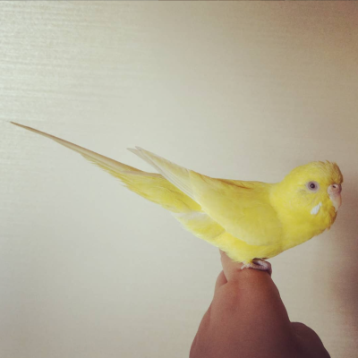 2020/06/04のタケコ