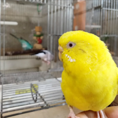 2022/10/10のタケコ