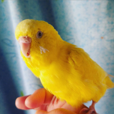 2021/01/14のタケコ