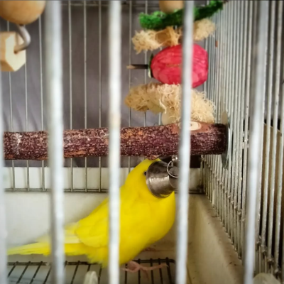 2022/06/14のタケコ