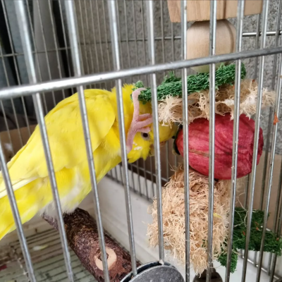 2022/06/20のタケコ