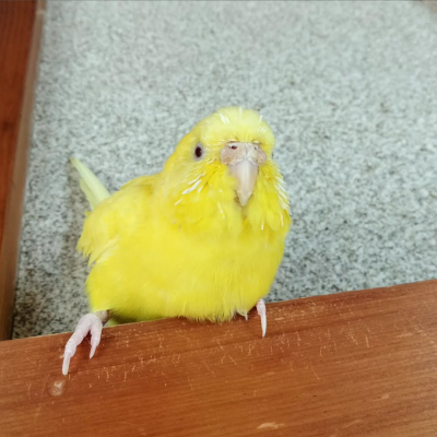 2023/10/07のタケコ